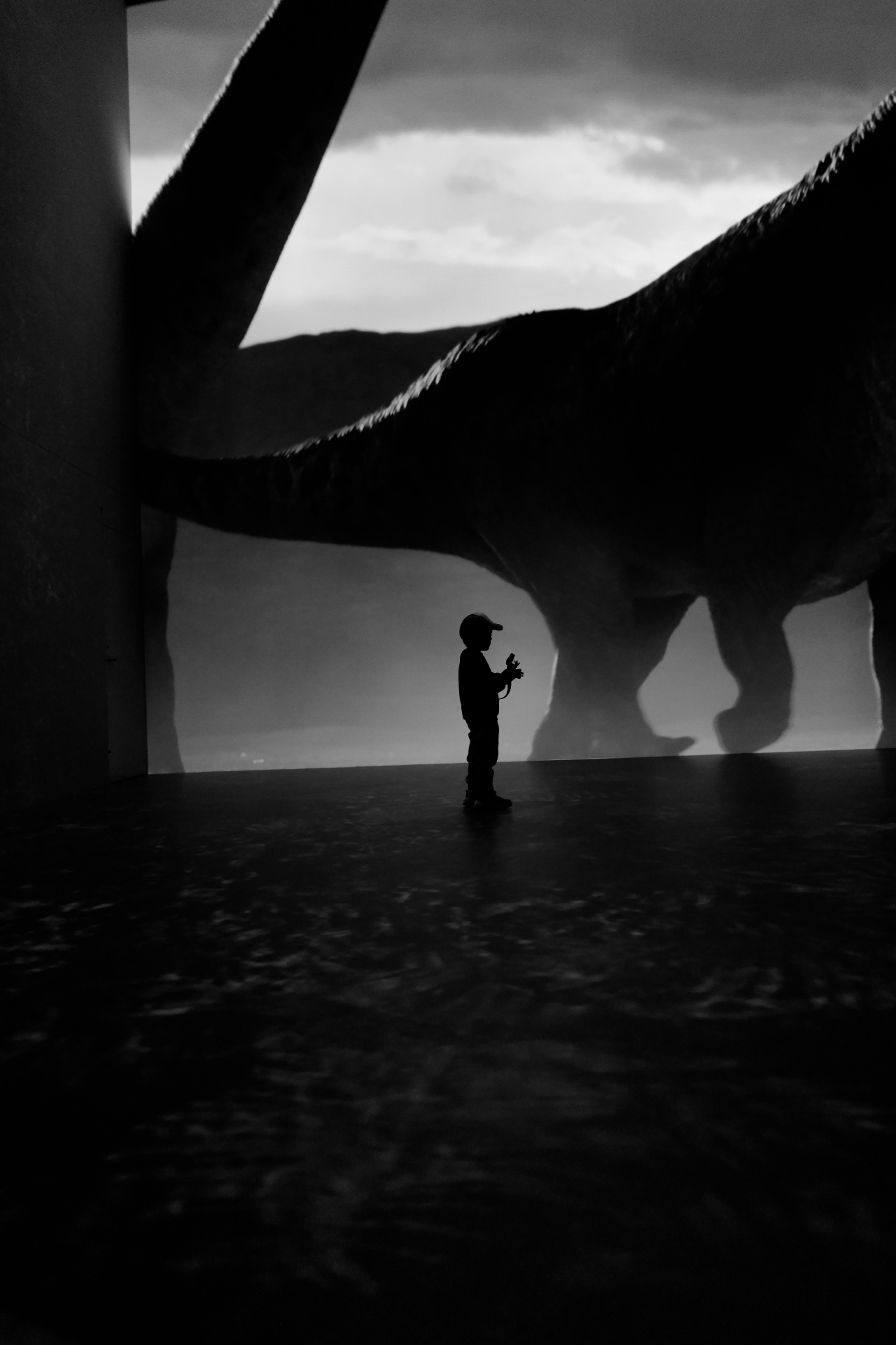 Child silhouetted before a giant dinosaur projection
