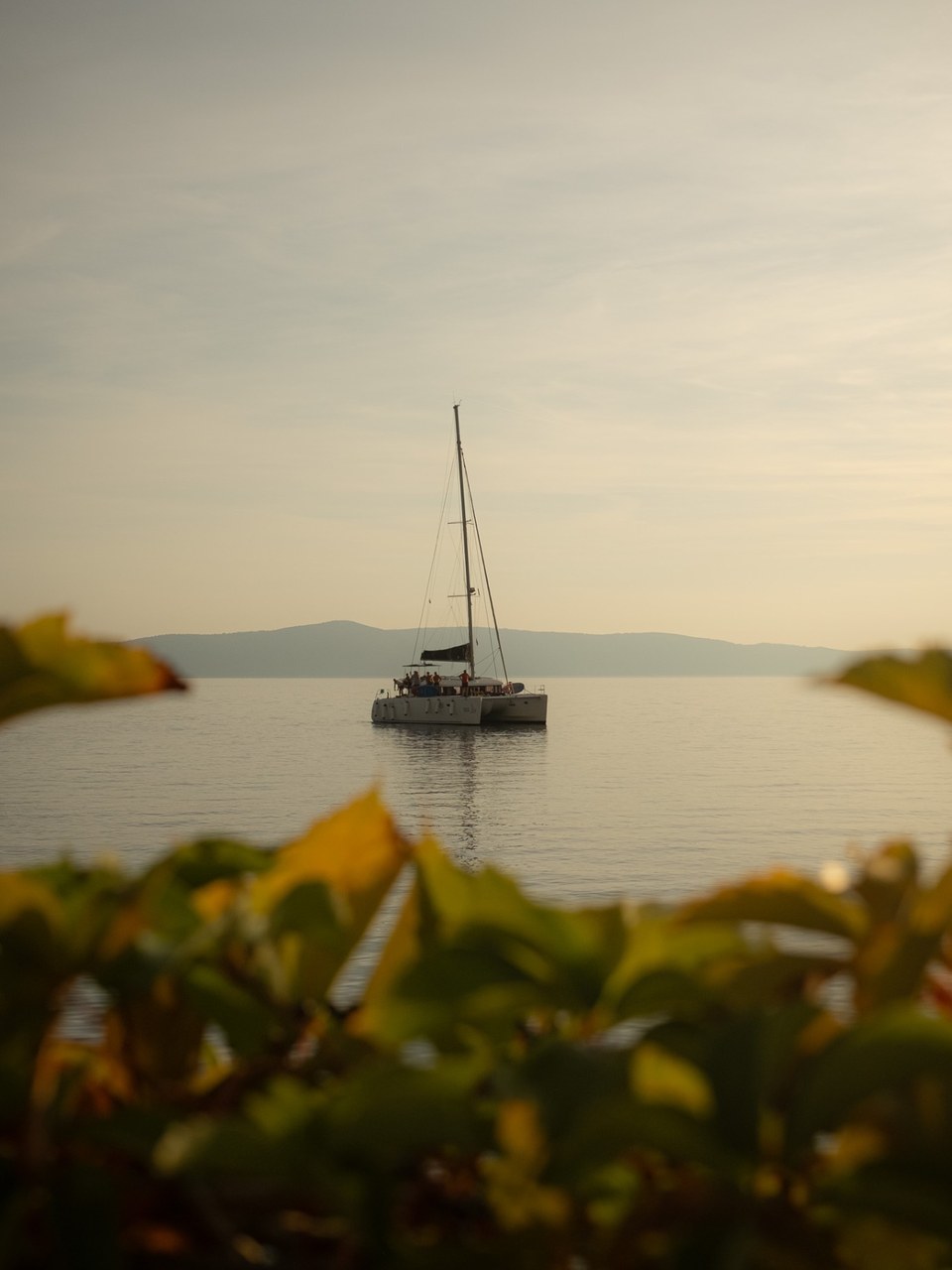 Sailing catamaran on calm water, framed by out-of-focus leaves