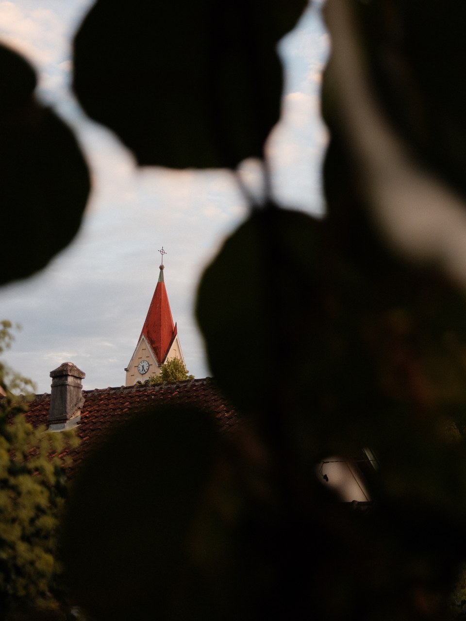 Church spire with a red roof seen through a gap in dark foliage
